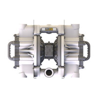 Druckluftmembranpumpe | 2 Zoll | VMB20FPPR0SS000NRA