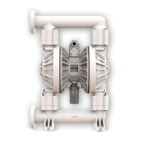 Air-operated diaphragm pump | 2 Inch | E2KA5T5T9C