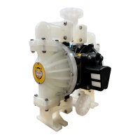 Druckluft-Doppelmembranpumpe | 1 Zoll | VMV10BPPH0TP100UCA