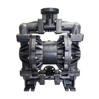 Air-operated double diaphragm pump | 1 Inch | VMV10BCCR0RP106UCA