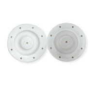 DIAPHRAGM, 1" PTFE